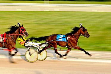 trotting betting bonuses